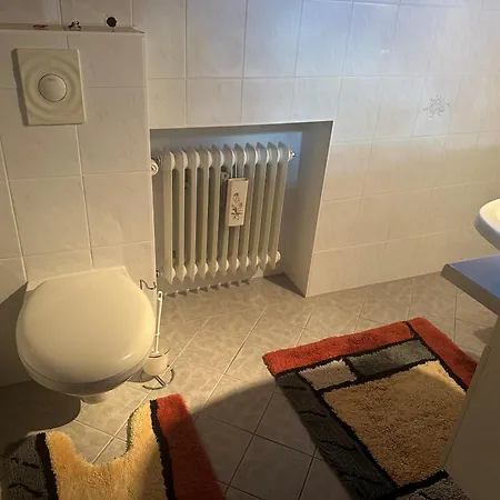 Tabita Mit Parking Balkon Terrasse Und Garten Διαμέρισμα Untermeitingen